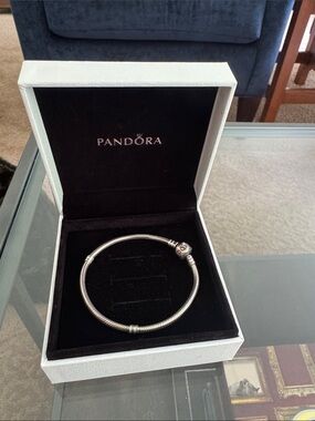 Pandora Silver Snake Chain Bracelet with Logo Clasp